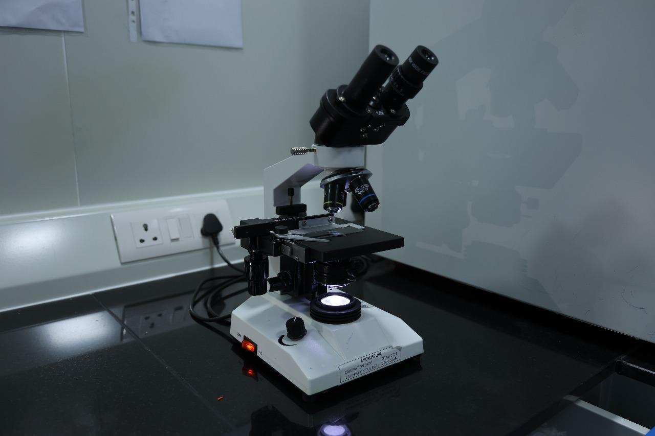 WhatsApp Image 2025-08-16 at 00.58.58